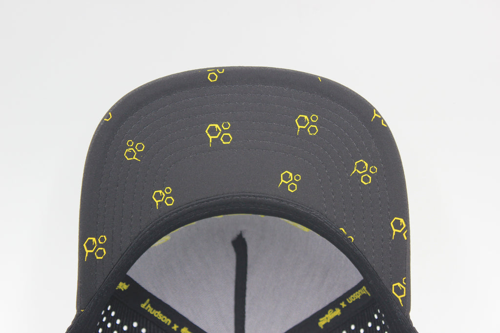 Catch The Buzz Snapback